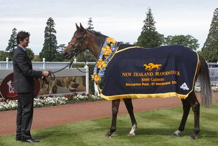 Rollout The Carpet (Holy Roman Emperor) has a current bid of AUD$30,000.